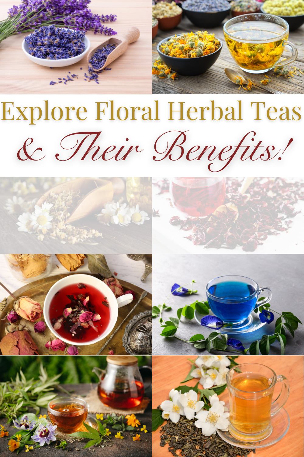 The Ultimate Guide to Floral Herbal Teas and Their Health Benefits