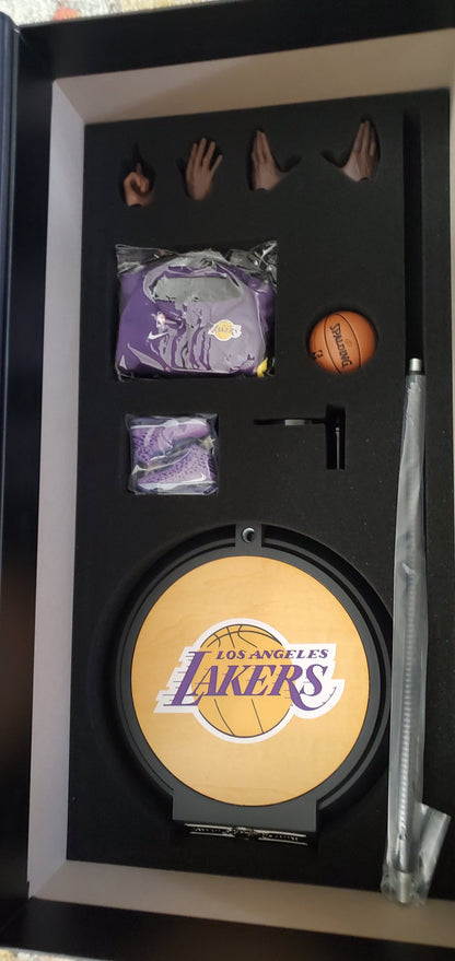 Lakers Lebron James Enterbay Action Figure