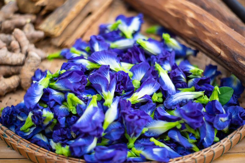 Basket of blue butterfly pea flowers on a wooden surface