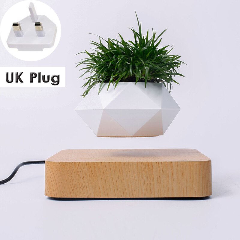 Desk Levitating Potted Plant