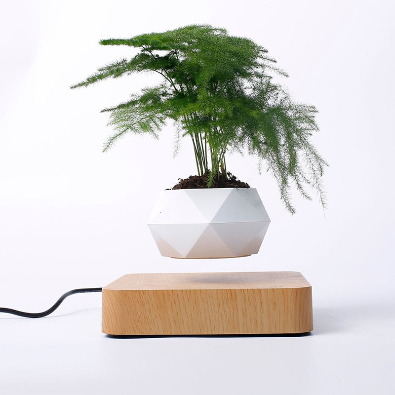 Desk Levitating Potted Plant